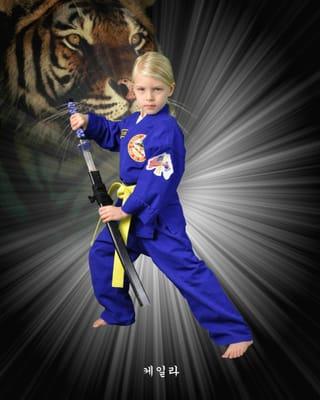 Choe's HapKiDo Karate Academy of Martial Arts in Cumming and Suwanee GA