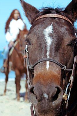 Book a Beach ride + Photography add on package!