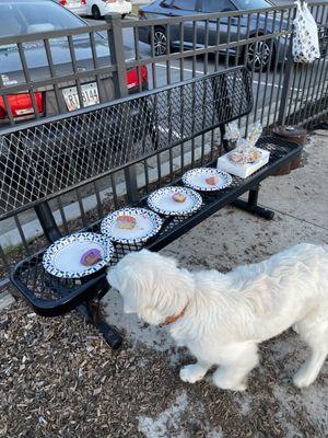 Dog City Bakery