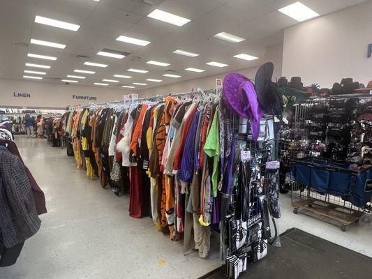 Goodwill, Halloween extravaganza