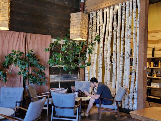 I want this birch tree divider for my home!!