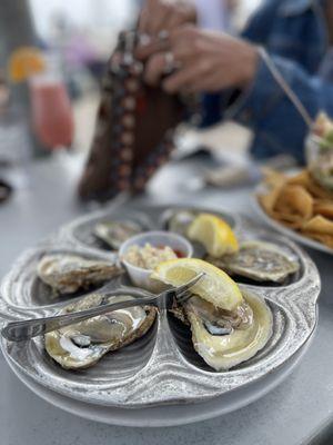 Fresh Oysters