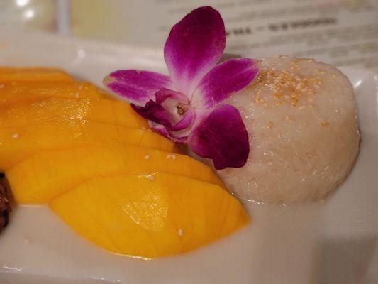 Stickie  rice and mango this dessert  it's heavenly