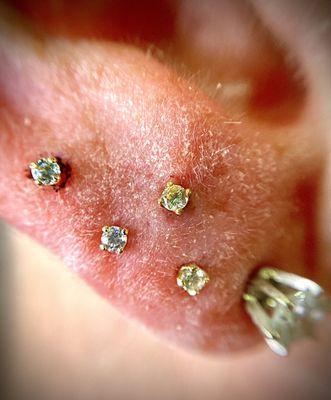 Stacked Earlobe piercings with 14k Gold Threadless 2mm Swarovski Prongs by Invictus Body Jewelry.