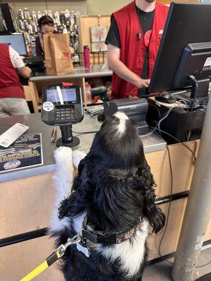 They give her treats and she knows it.