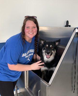 DIY dog wash at Sudsy Mutts