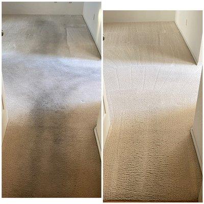 ASAP Carpet Cleaning