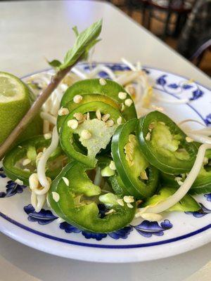 Jalapeño, basil and sprouts served with the soup