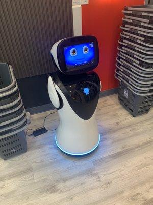 Robot greeter