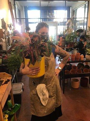 Kelly with a newly potted plant for a lovely customer!