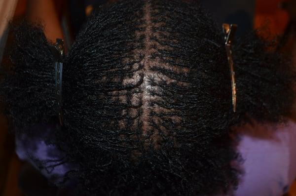 Sisterlocks Grid