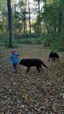 A girl and her dogs.