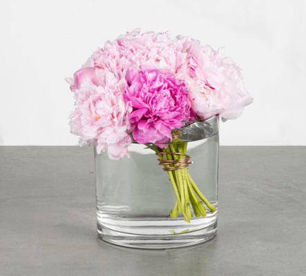 Evangelista - This clear glass cylinder vase features the simplistic beauty of soft pink peonies tied with design wire.