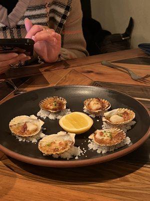 scallops