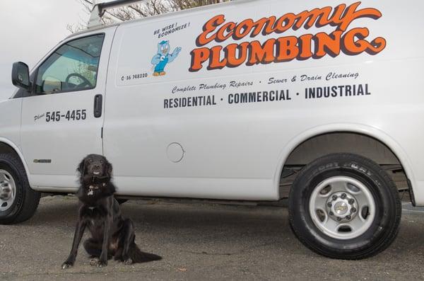 We have a full time shop dog, (Sophia),  that is ready to greet our customers with much enthusiasm.