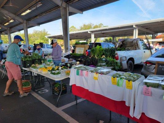 Alachua County Farmers Market