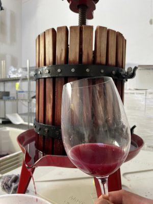 Pinot Noir Nouveau