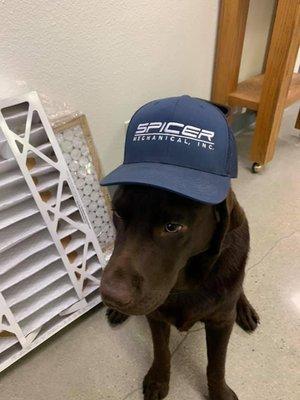 Some of our Spicer employees have fur and 4 paws! #SPICERISNICER