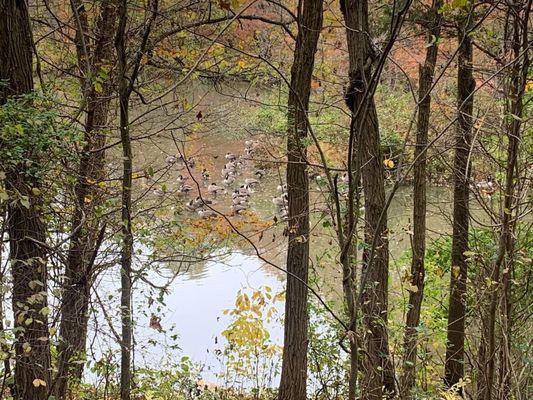 Carrie Murray Nature Center