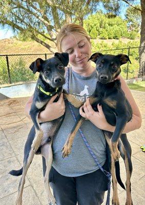 Diego and Frida, with Brittany, trainer and staff member at Laughing Dog Inn. Diego is still up for adoption! (left)