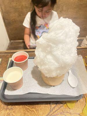 kid's shaved ice