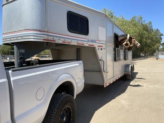 Moving some horses to another ranch