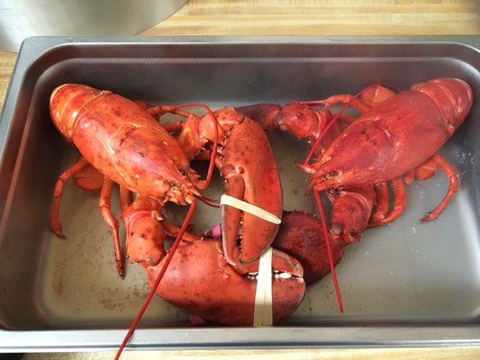 We will steam your lobsters to order!