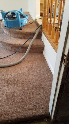 Watkins Carpet Cleaning