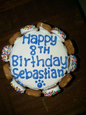 Sebastian says "put your paws up" for his wonderfully made birthday cake!