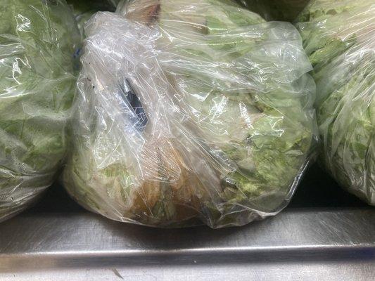 Rotten lettuce.