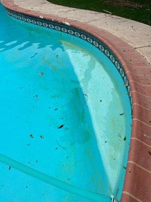 Green spots on the wall all around the pool