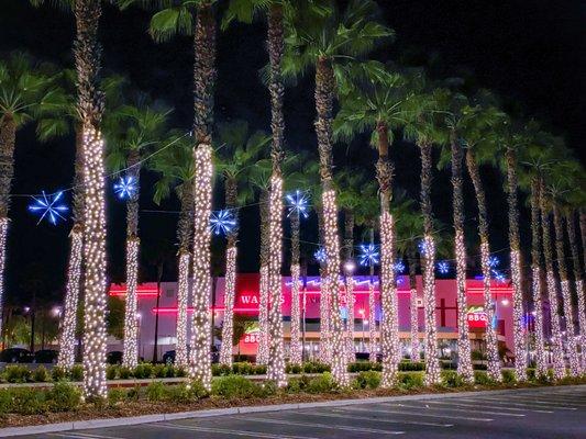 Temecula Promenade Mall Palm wraps and starbursts