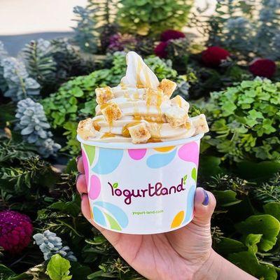 Yogurtland