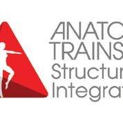 Anatomy Trains Structural Integration