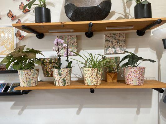 Customer service is superb here! Love these Hand painted planter pots.