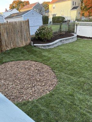 Yard makeover