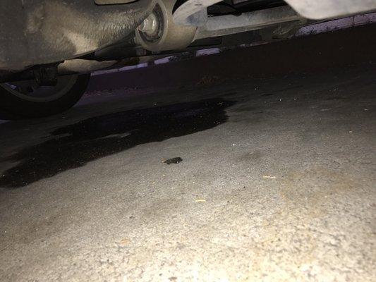 Huge spot of leaking oil/coolant under my car.