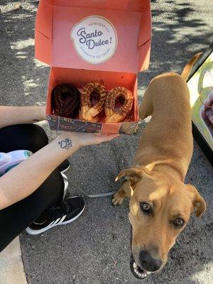 Mini halo churro box