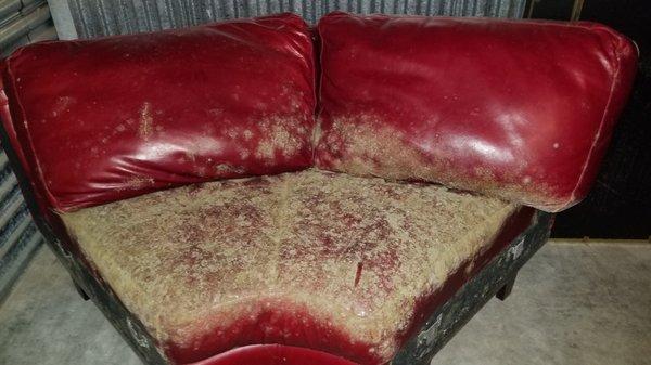 Was from very expensive sofa. Perfect condition when I put it in storage unit. Garbage now!