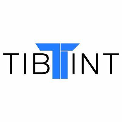 TIBINT is short for Tiberius Interactive.