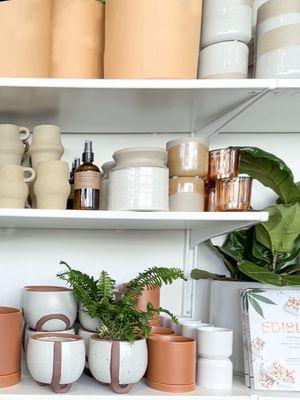 Selection of pots and plants