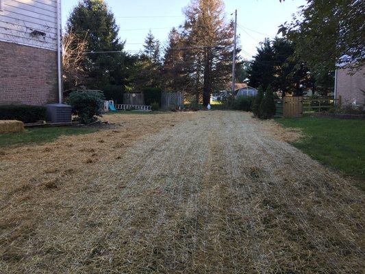 Straw mats all rolled out and seed is on the ground