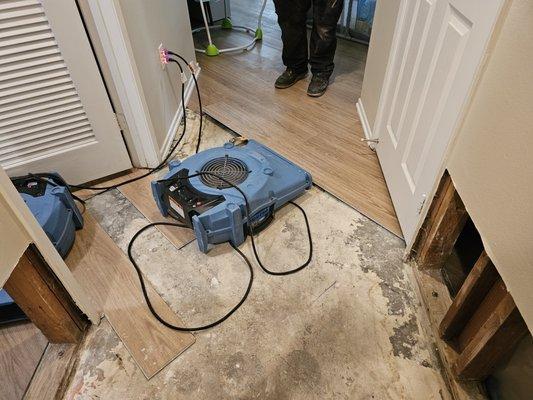 Drying out under floors to prevent further demo.