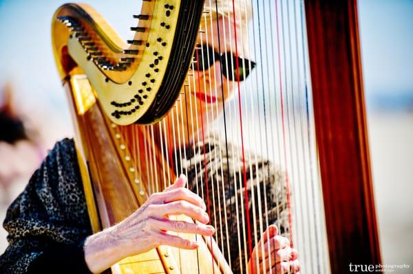 Harpist San Diego Destination Wedding Planner InStyle Event