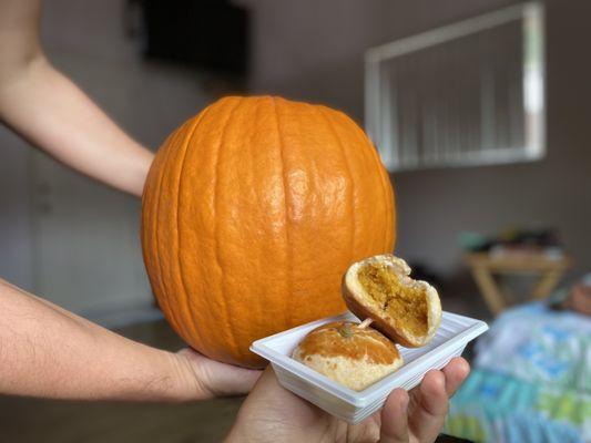 Pumpkin spice manju ($4.50 for 2 pieces)  IG: @ohmyono