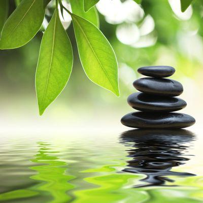 Experience Zen and Health today