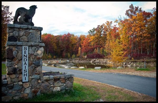 Sendaishi Pet Resort
 our nature walk trails around the pond on 60 acres of woods