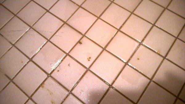 FECES on the floor  every night when I would shower alone. i needed to clean it myself as no one was around at night.