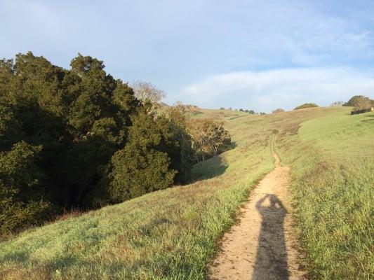 Sunny morning with plenty of green