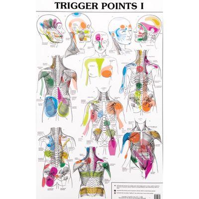 Trigger point chart to pin point where those aches and pain are starting from.